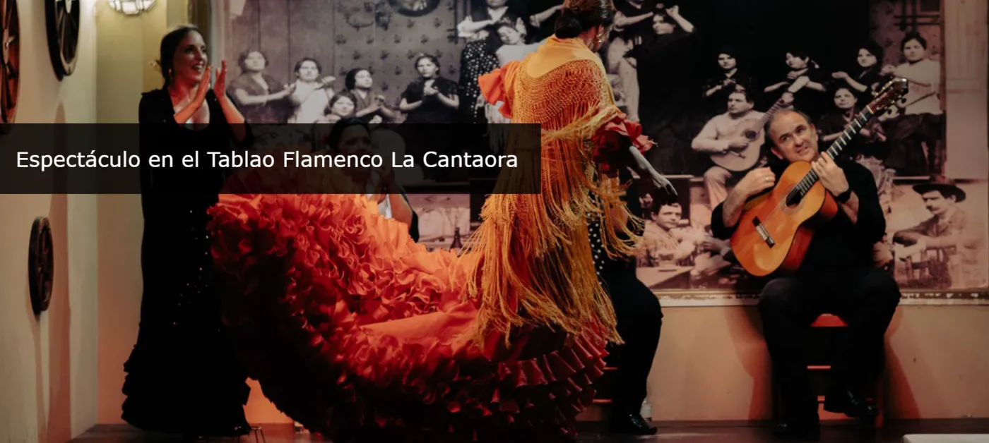Flamenco Show in Seville La Cantaora