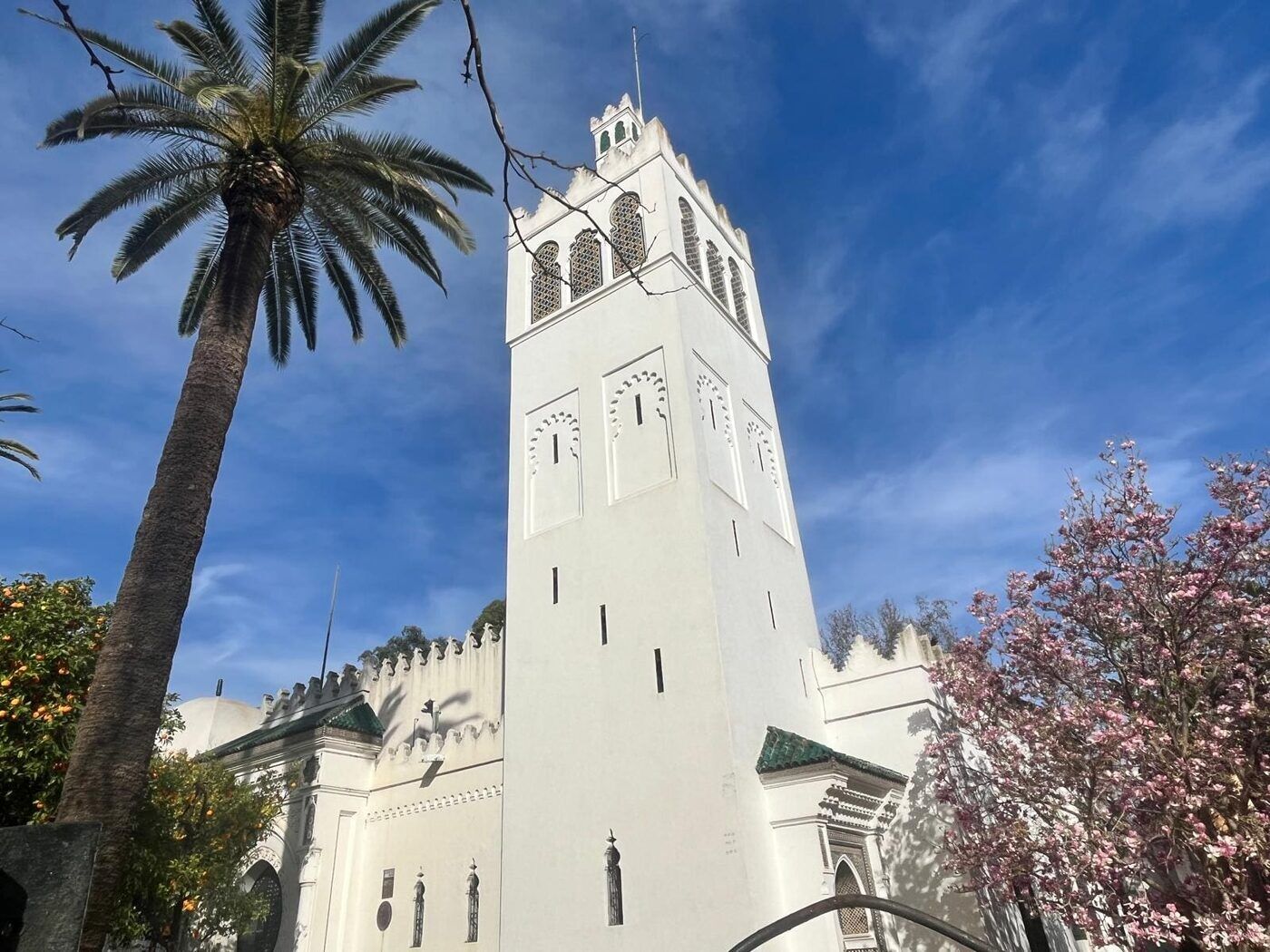 Sevilla Tourism Experience: 1929 Expo Sites Seek UNESCO Status — photo 3